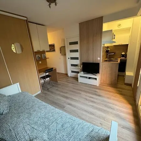 Appartement Studio Apartment Nice